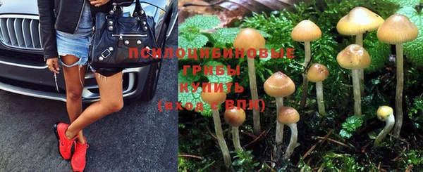 2c-b Абаза