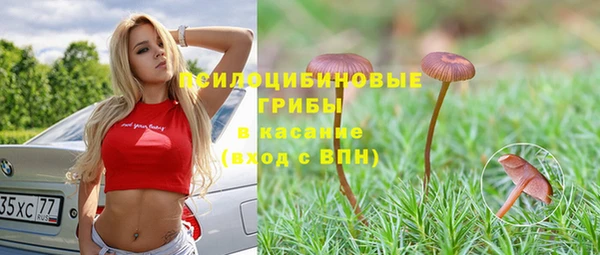 Альфа ПВП Алзамай