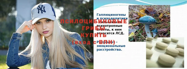 Альфа ПВП Алзамай