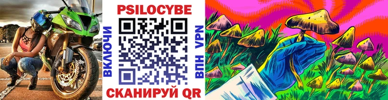 что такое   Сольвычегодск  Псилоцибиновые грибы ЛСД 