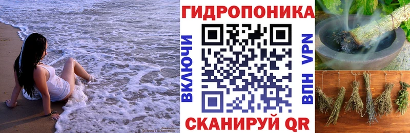 Шишки марихуана марихуана  Сольвычегодск 